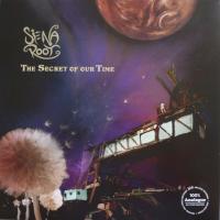 Виниловая пластинка ROOT SIENA / THE SECRET OF OUR TIME (1LP)